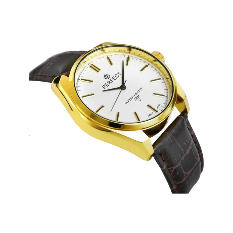 Zegarek Męski PERFECT C081-3