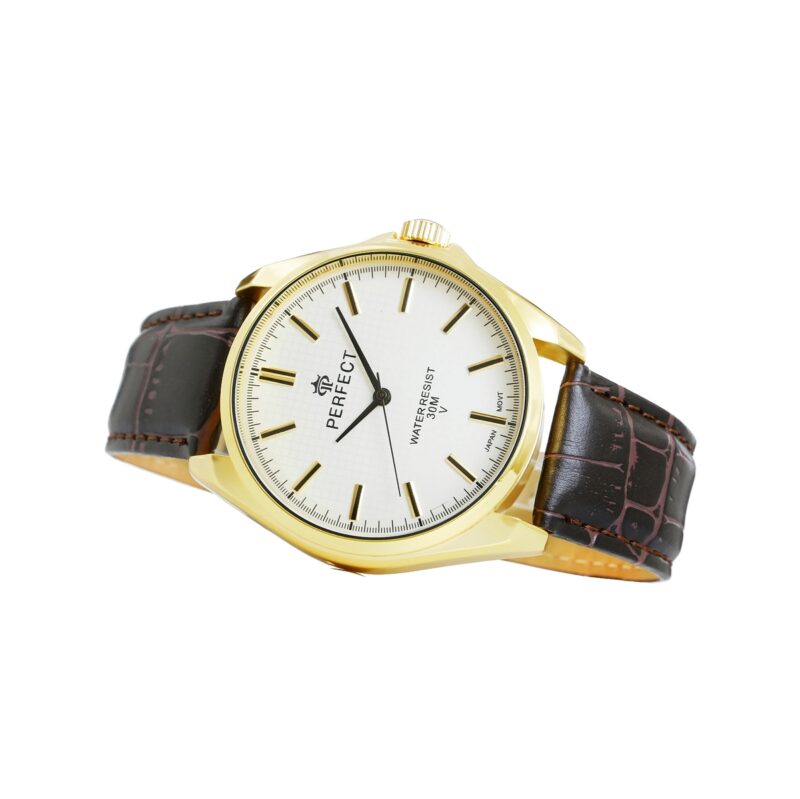 Zegarek Męski PERFECT C081-3
