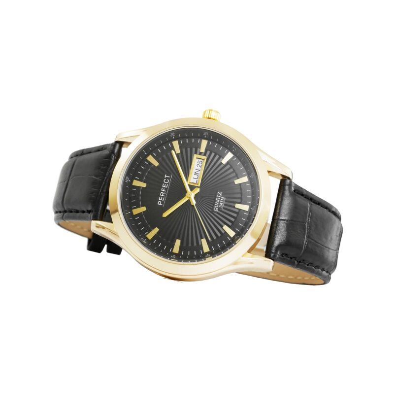 Zegarek Męski PERFECT C201B-2