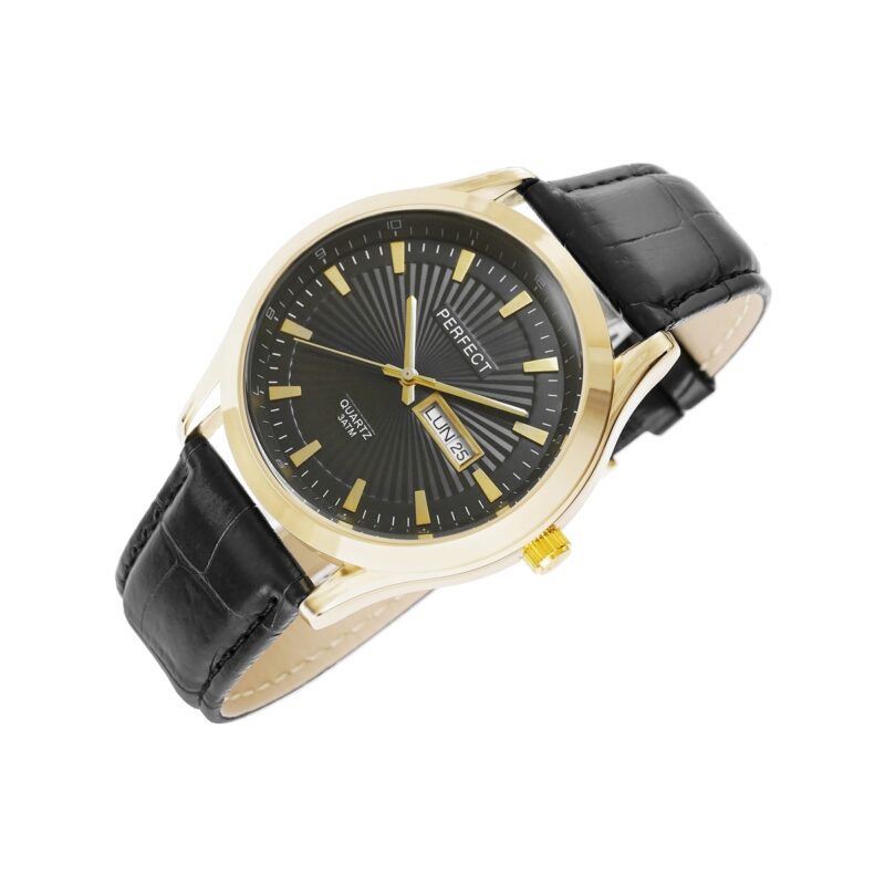 Zegarek Męski PERFECT C201B-2