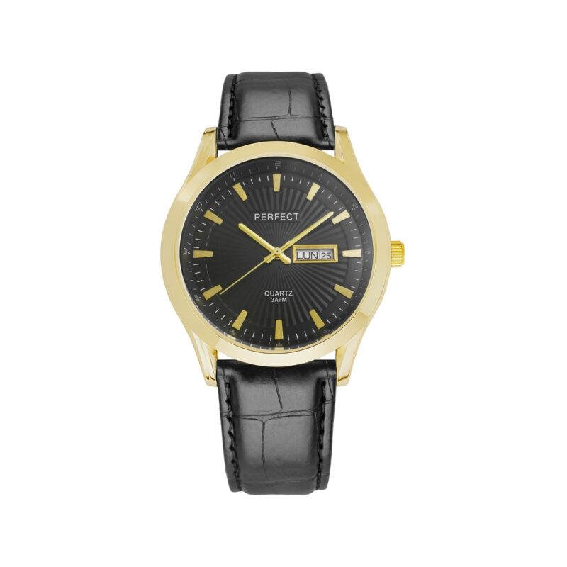 Zegarek Męski PERFECT C201B-2