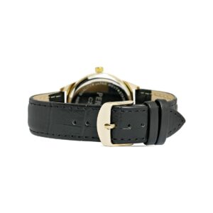 53_00_5_max Zegarek Męski PERFECT C203B-1