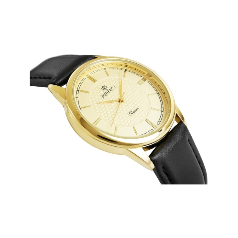 Zegarek Męski PERFECT C453-5