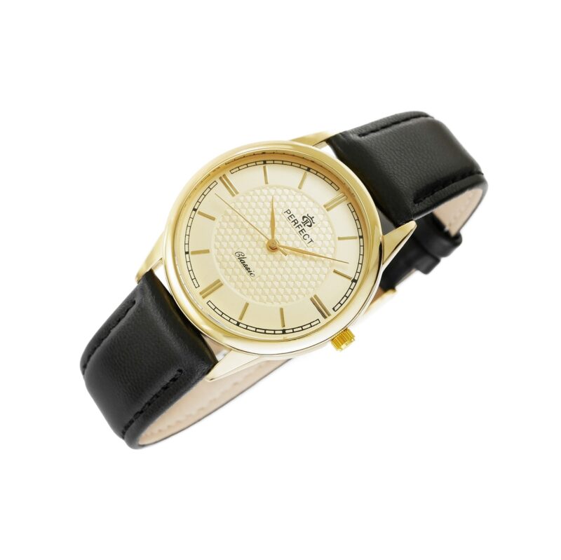 Zegarek Męski PERFECT C453-5