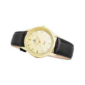 Zegarek Męski PERFECT C453-5