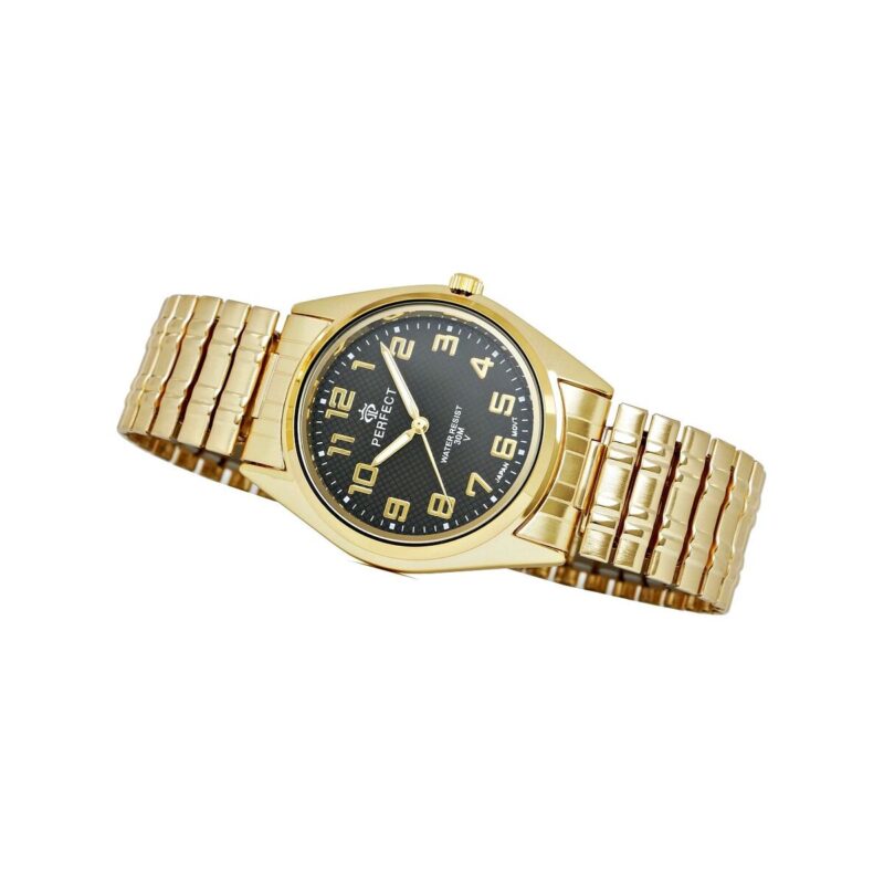 63_19_135_max Zegarek Damski PERFECT X018-5