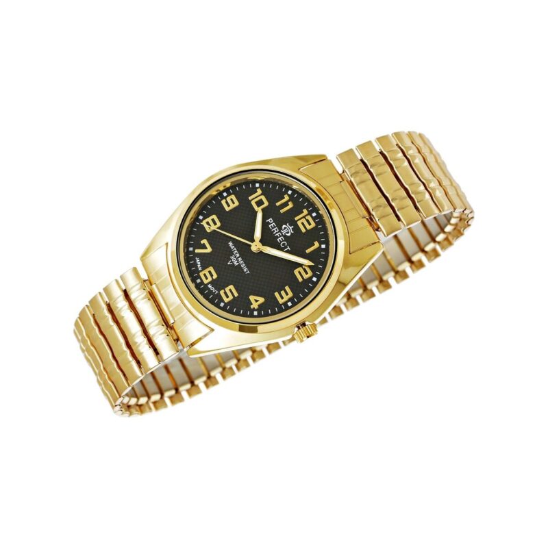 63_19_137_max Zegarek Damski PERFECT X018-5