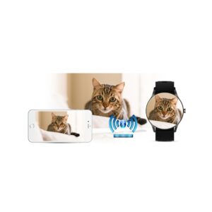 Smartwatch Gravity GT2-2