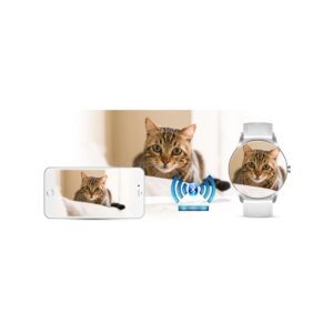 Smartwatch Gravity GT2-7