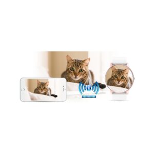 Smartwatch Damski Gravity GT1-7