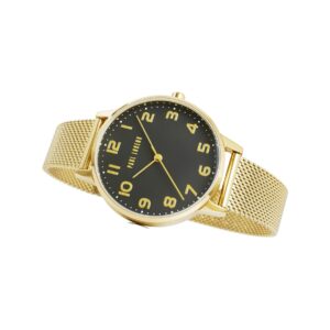 Zegarek Damski Paul Lorens PL11715B2-1D1