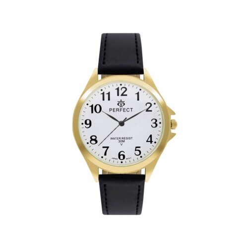 Zegarek Męski PERFECT GX412-11
