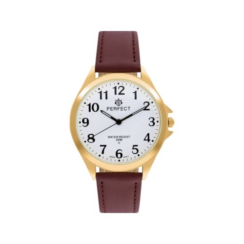 Zegarek Męski PERFECT GXB412-12