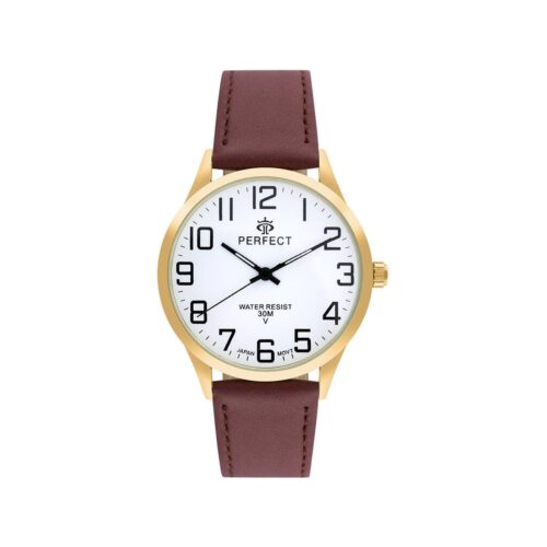 Zegarek Męski PERFECT GXB452-12