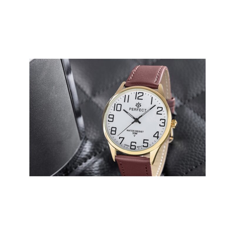 Zegarek Męski PERFECT GXB452-12