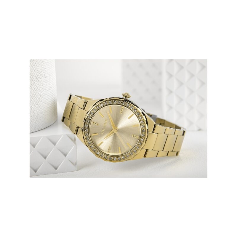 78_45_178_max Zegarek Damski Paul Lorens PL9656B3-4D1 + BOX