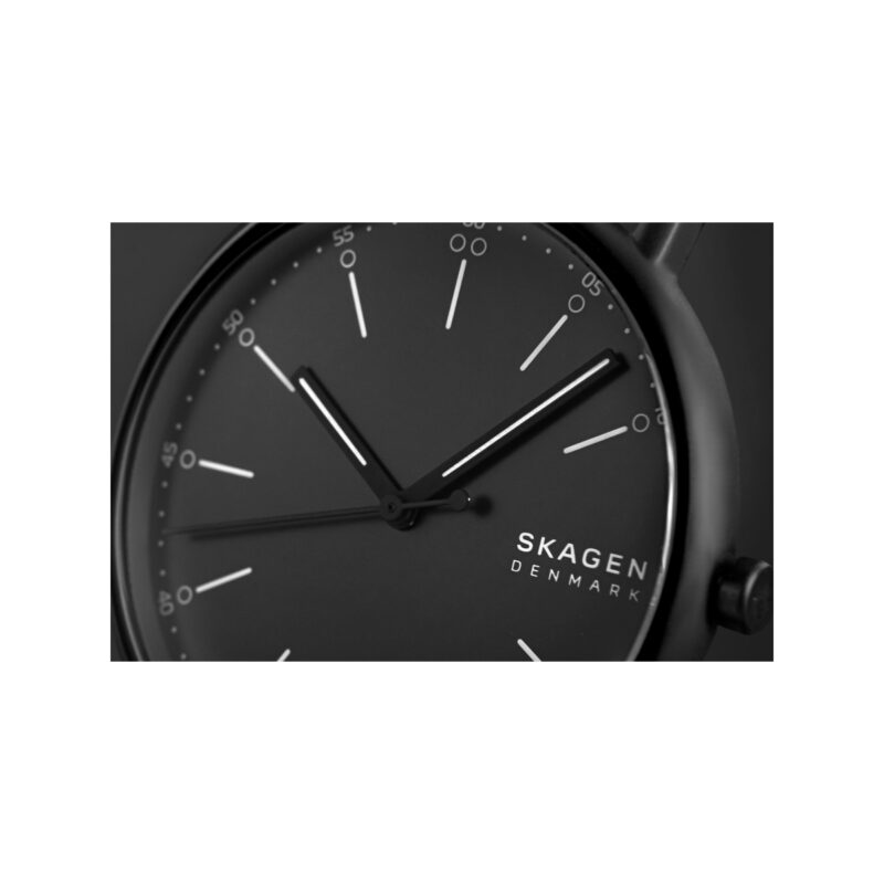 Zegarek Męski SKAGEN Signatur SKW6902 + BOX