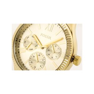 Zegarek Damski FOSSIL Rye BQ3692+ BOX