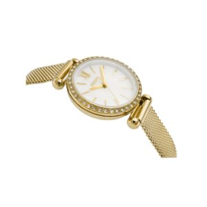 Zegarek Damski FOSSIL Tillie Mini BQ3898 + BOX