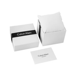 84_91_8_max Zegarek Damski CALVIN KLEIN Timeless Mesh 25200001 + BOX