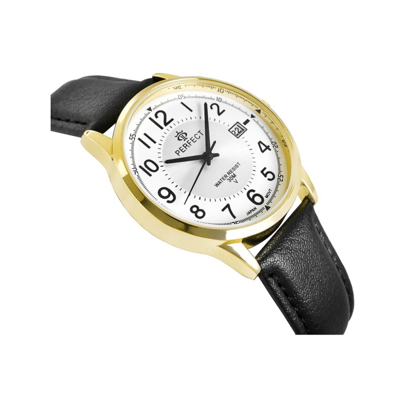 Zegarek Męski PERFECT C710T-09