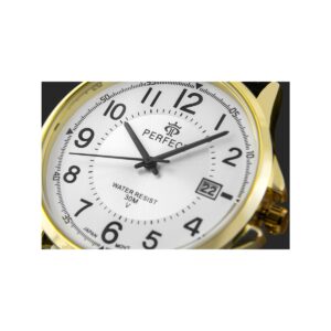 Zegarek Męski PERFECT C710T-09