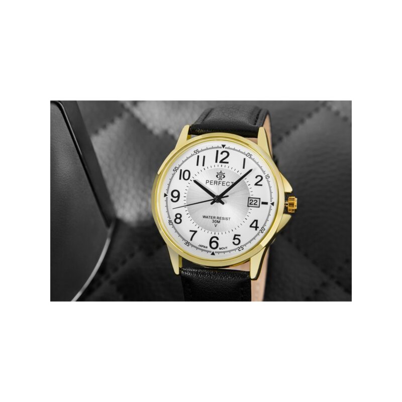 Zegarek Męski PERFECT C710T-09