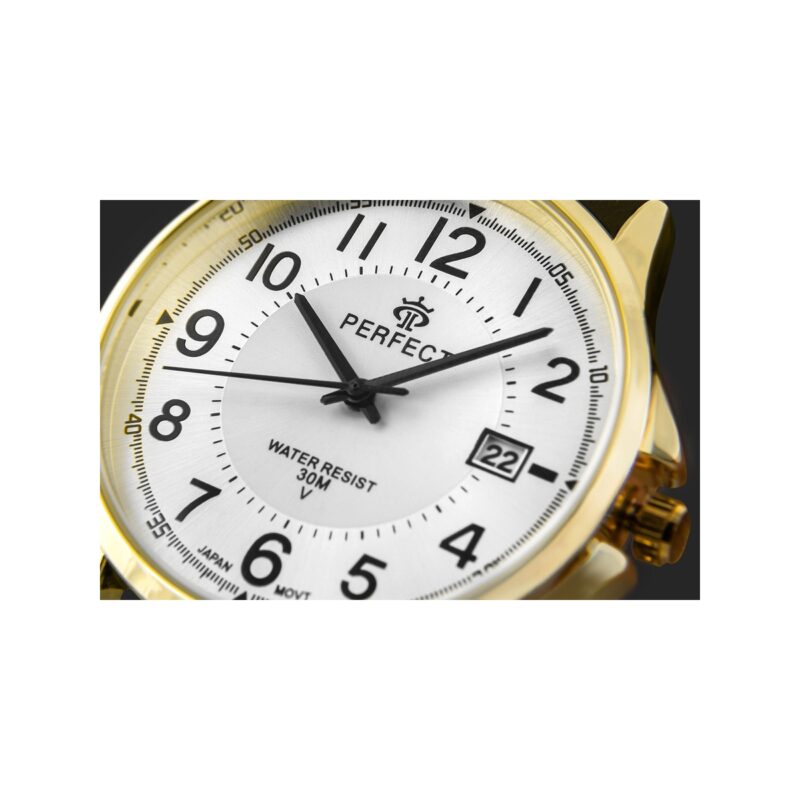 Zegarek Męski PERFECT C710T-10