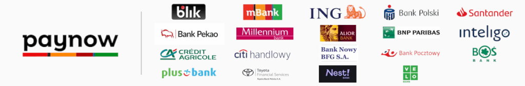 paynow-baner-platnosci